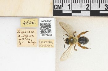 Media type: image;   Entomology 771251 Aspect: Labels